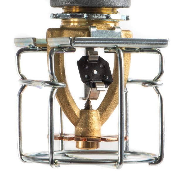 Product image for N252EC CMDA/CMSA Pendent Sprinklers